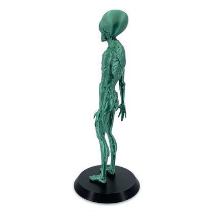 Insectoid Alien Figurine