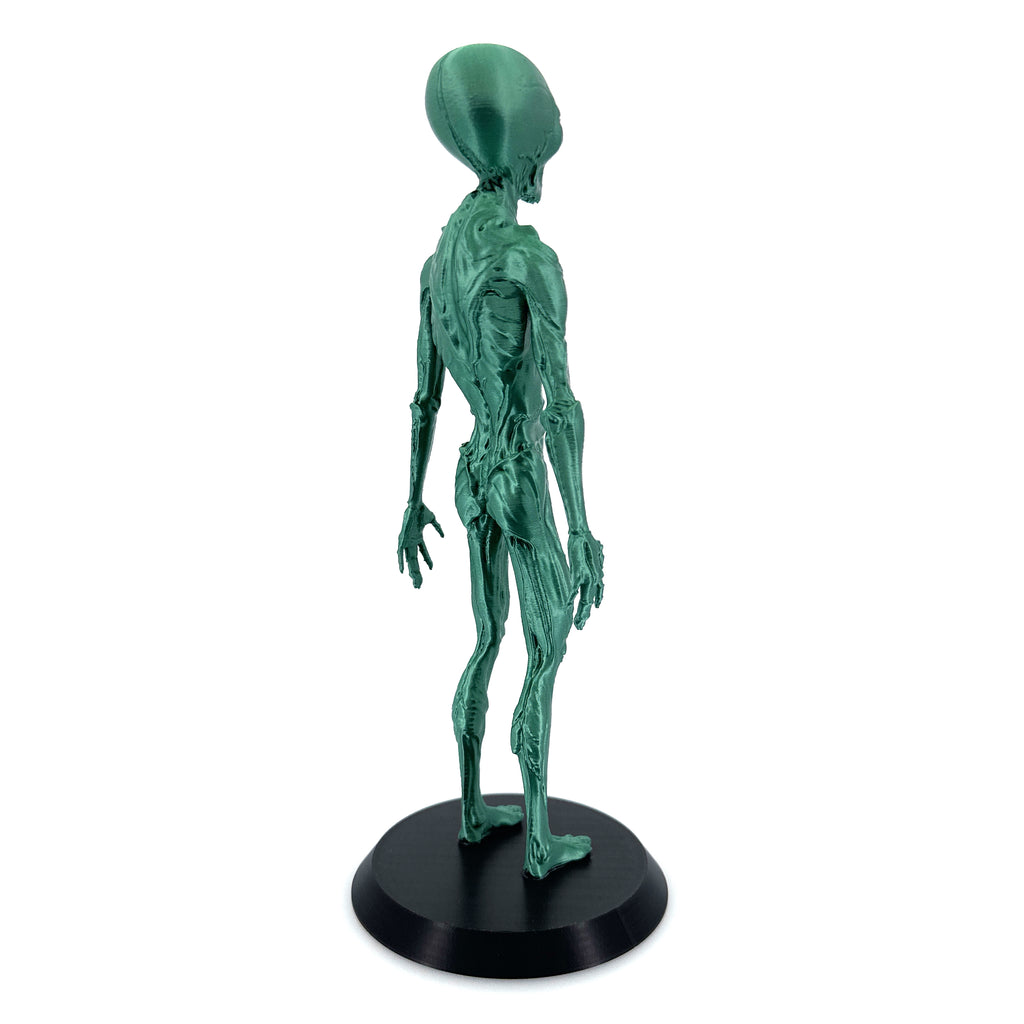 Insectoid Alien Figurine – Mantis Species Collectible | 10"