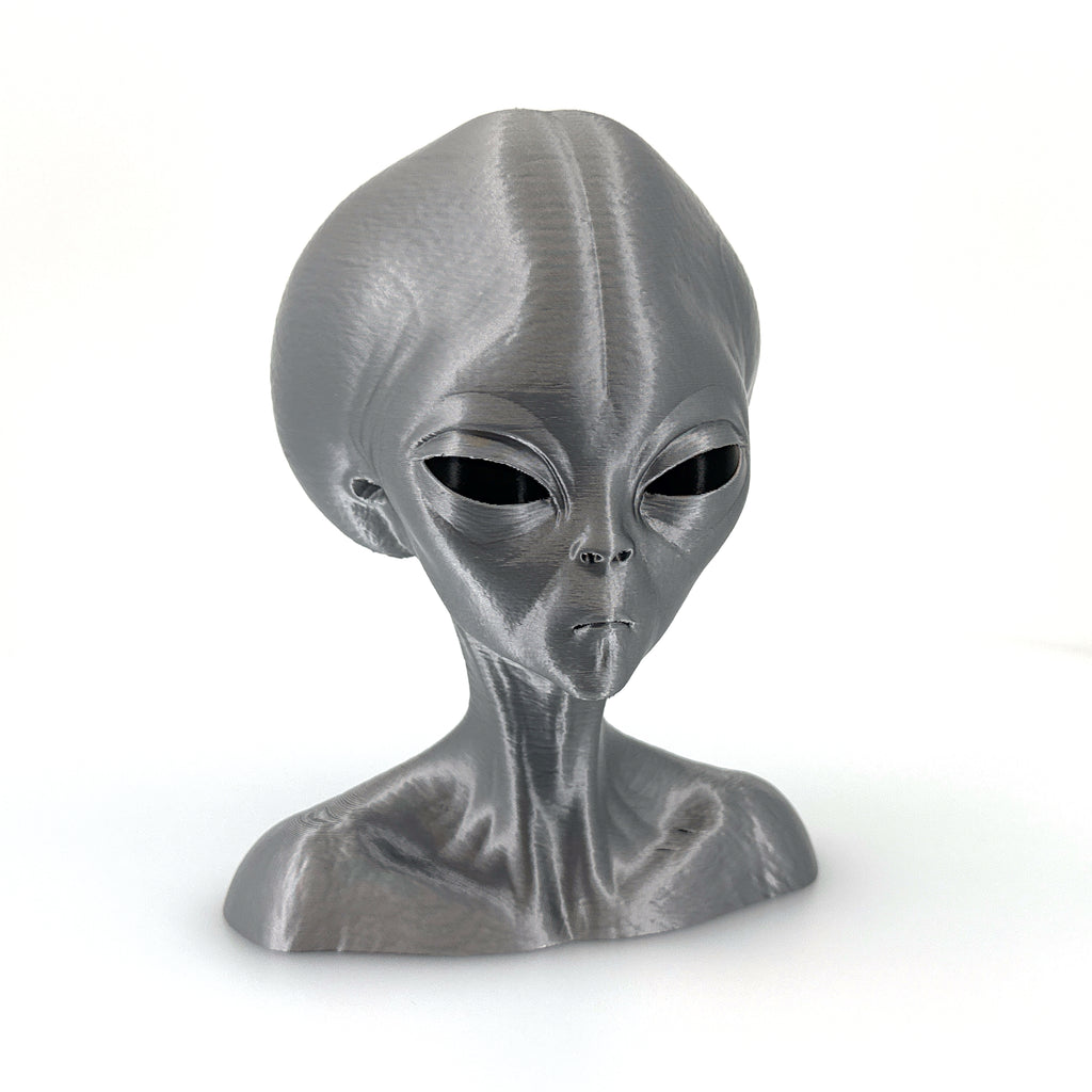 Roswell Grey Alien Bust from Zeta Reticuli – 3D Printed Sci-Fi Collectible