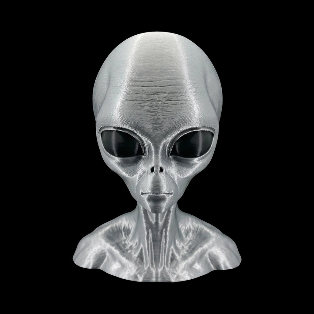 Grey Alien Head Bust 4 to 10 Inch Sizes - 3D Printed by UFODesigns3D