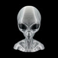 Grey Alien Head Bust 4 to 10 Inch Sizes - 3D Printed by UFODesigns3D