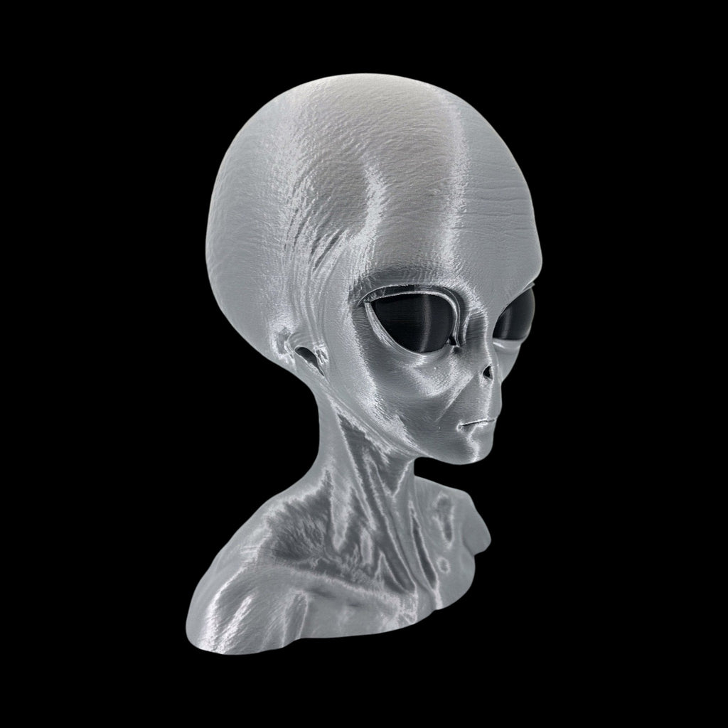 Grey Alien Head Bust – 4"–12" — view 10, 3D printed replica on black background