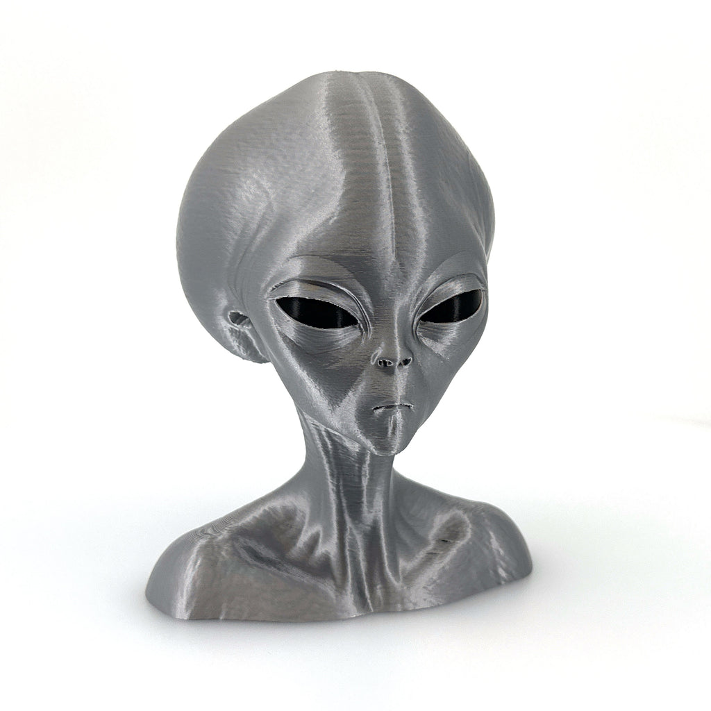 Roswell Grey Alien Head Bust