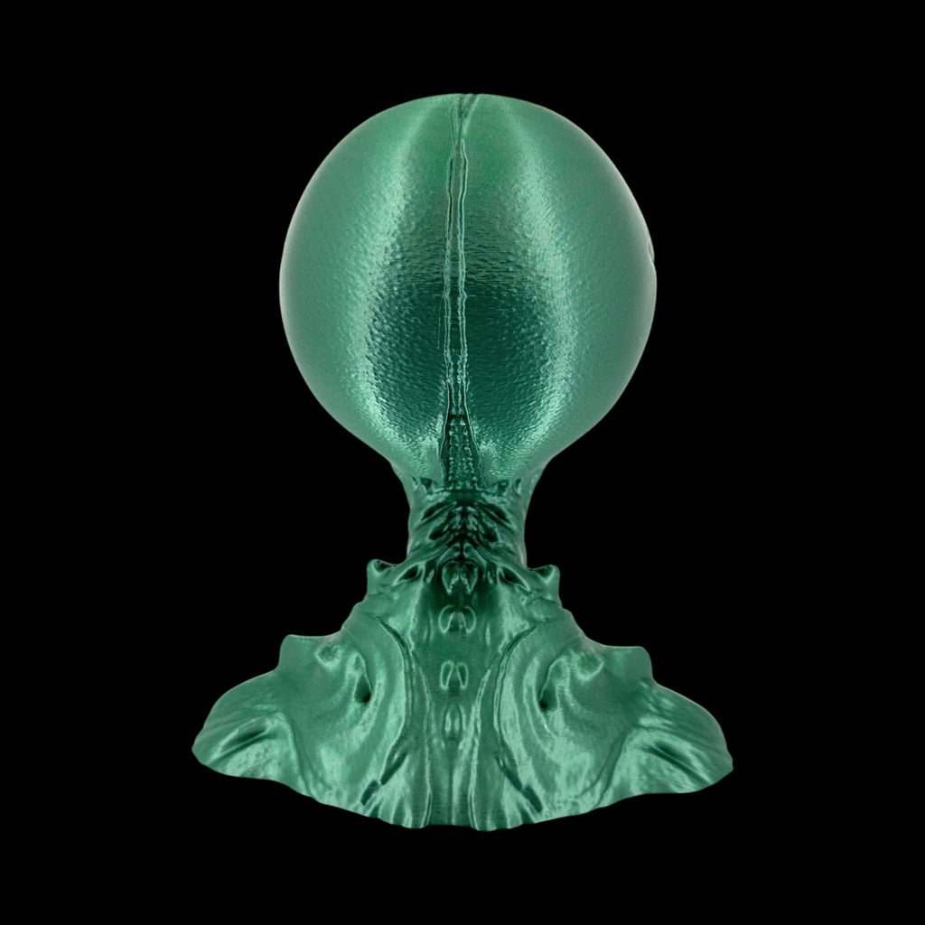 Insectoid Alien Head Bust – 4"–10" — view 5, 3D printed replica on black background