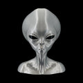 Roswell Grey Alien Bust 4 to 10 Inch Sizes - 3D Printed by UFODesigns3D
